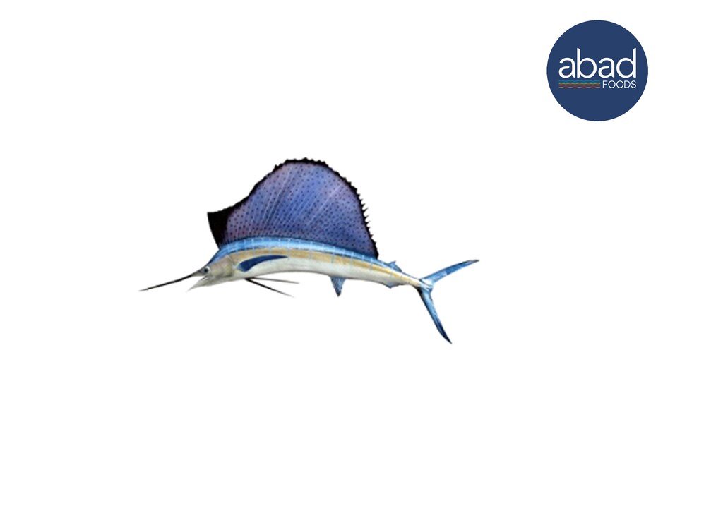 ABAD SAIL FISH 500GM20/30